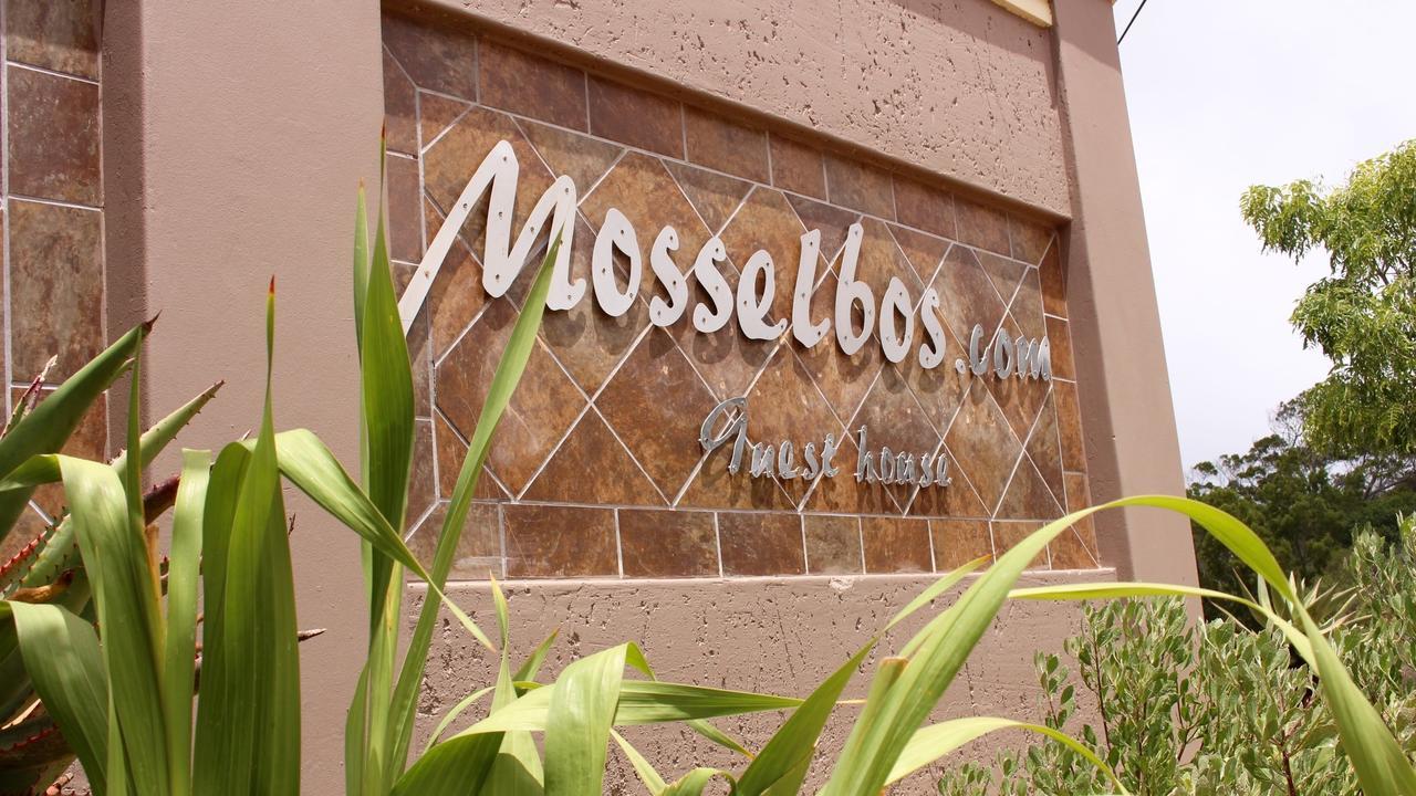 Mosselbos Guesthouse Self-Catering Great Brak River Dış mekan fotoğraf